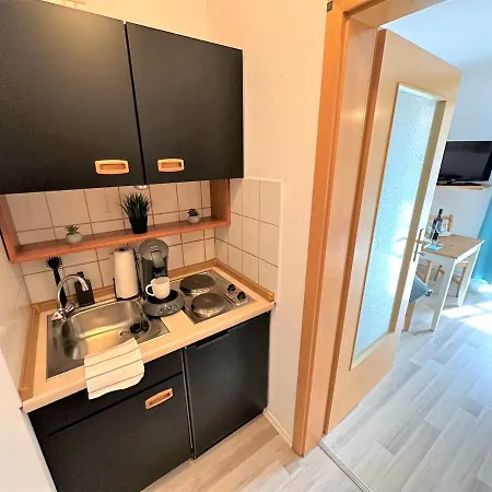 Cozy Bavarian Forest +pool +sauna +netflix Apartment *