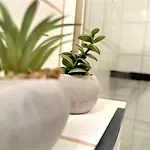 Cozy Bavarian Forest +pool +sauna +netflix 아파트 즈위젤