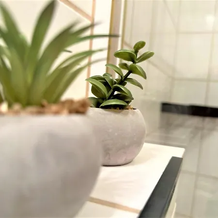 Cozy Bavarian Forest +pool +sauna +netflix Apartament Zwiesel